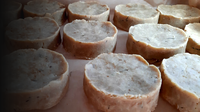 cashew, wild probiotic, nutritional yeast, lemon, flower of the salt and rosemary